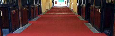 Flooring for Horse Breeding Barns