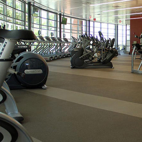 Regupol® Aktiv™ Rolled Rubber Flooring (1/4" Thick)